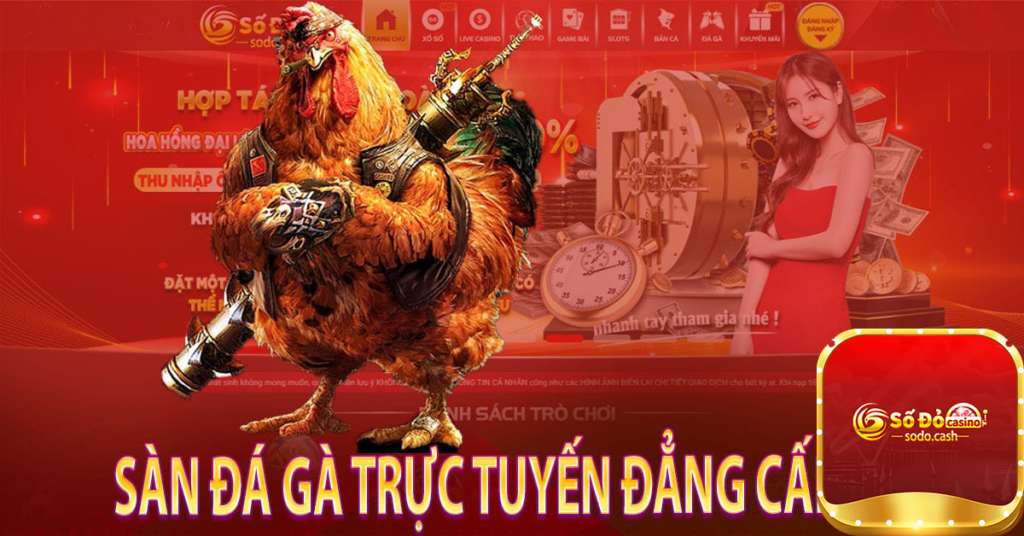 Sàn Đá gà trực Tuyến đẳng cấp